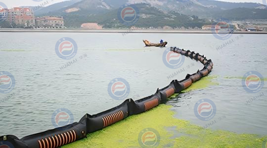 2008年7月，参加青岛海域浒苔防治工作