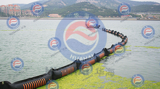 2008年7月，参加青岛海域浒苔防治工作